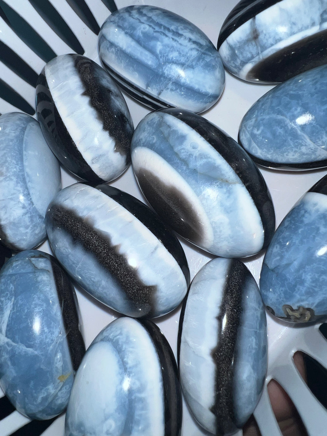 Blue opal Shivas