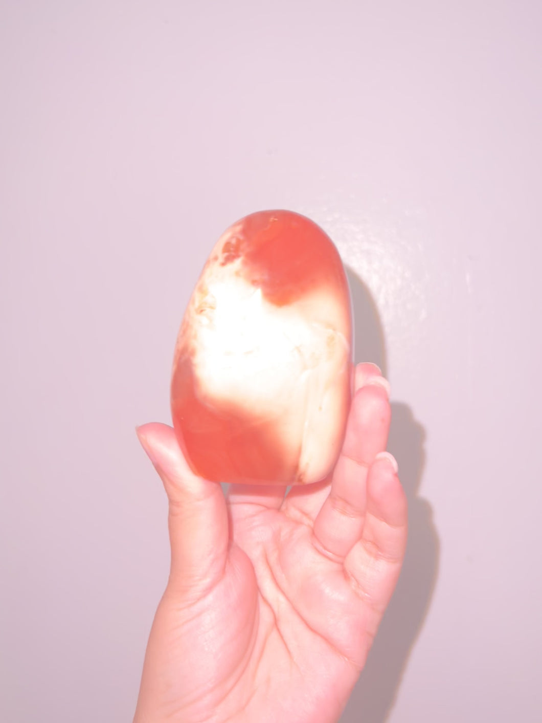 Carnelian x orca freeform